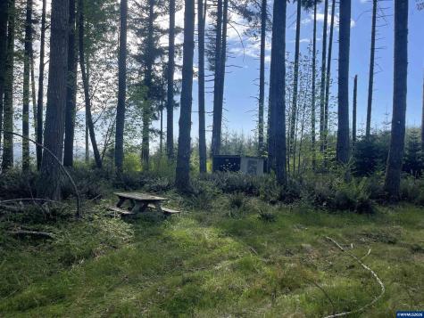Lot 13 SW Rock Creek Road Sheridan OR 97378