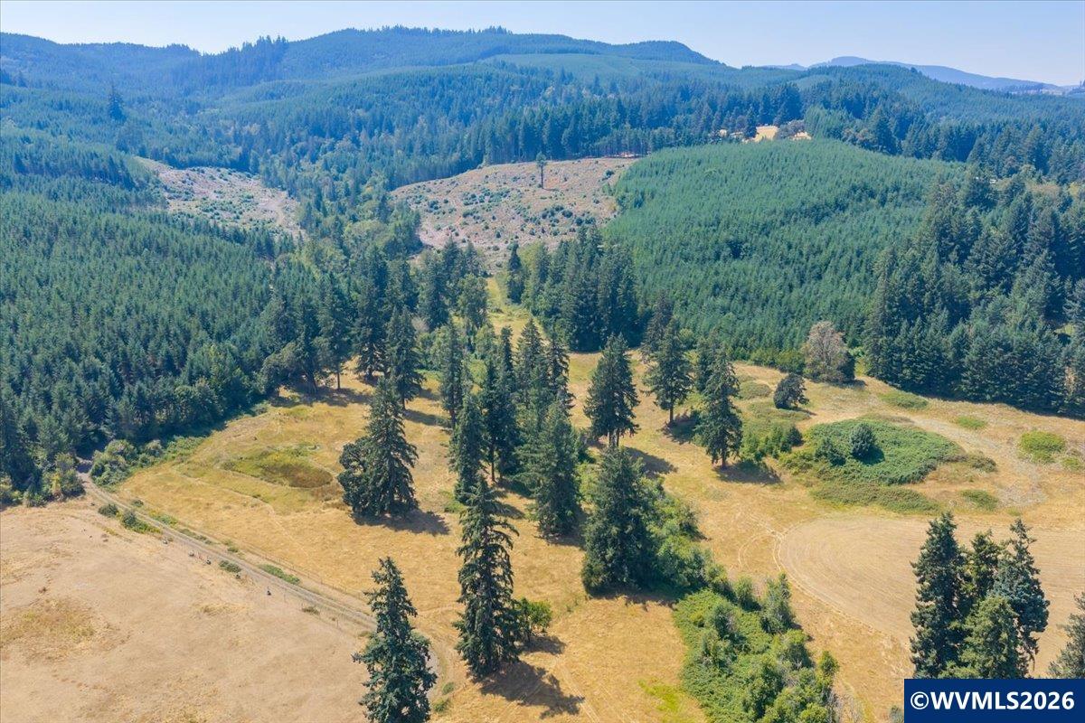 Tl #801 Upper Calapooia Drive Sweet Home OR 97386