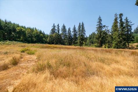 Tl #801 Upper Calapooia Drive Sweet Home OR 97386