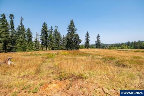 Tl #801 Upper Calapooia Drive Sweet Home OR 97386