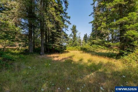 Tl #801 Upper Calapooia Drive Sweet Home OR 97386