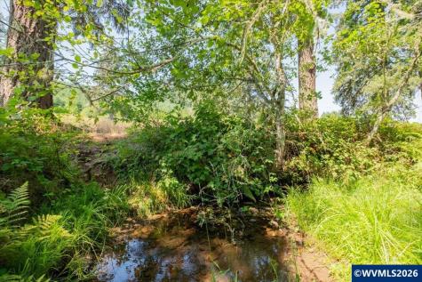 Tl #801 Upper Calapooia Drive Sweet Home OR 97386