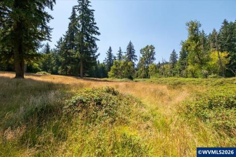 Tl #801 Upper Calapooia Drive Sweet Home OR 97386