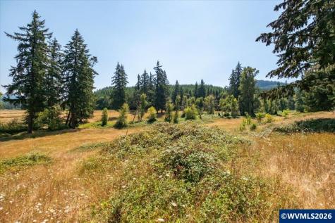 Tl #801 Upper Calapooia Drive Sweet Home OR 97386