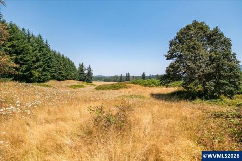 Tl #801 Upper Calapooia Drive Sweet Home OR 97386