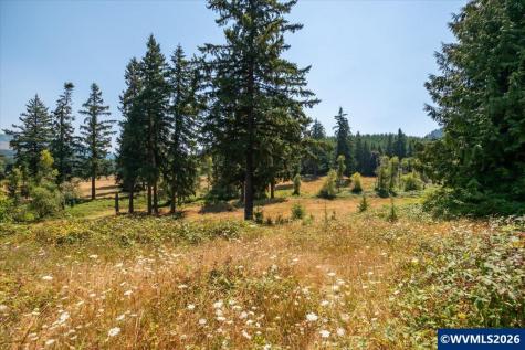 Tl #801 Upper Calapooia Drive Sweet Home OR 97386