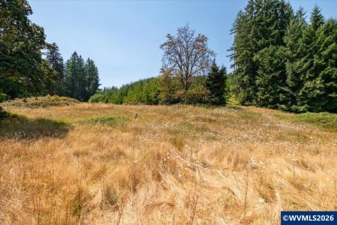 Tl #801 Upper Calapooia Drive Sweet Home OR 97386