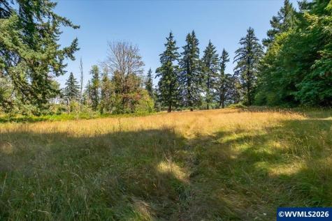 Tl #801 Upper Calapooia Drive Sweet Home OR 97386