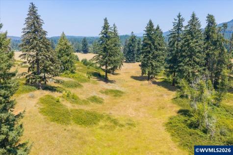 Tl #801 Upper Calapooia Drive Sweet Home OR 97386