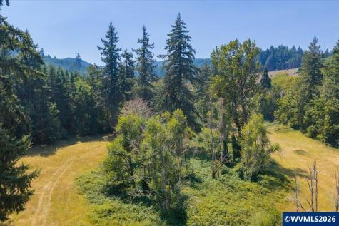 Tl #801 Upper Calapooia Drive Sweet Home OR 97386