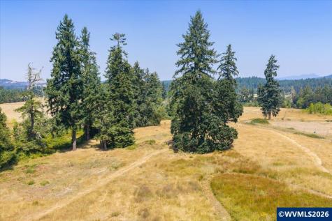 Tl #801 Upper Calapooia Drive Sweet Home OR 97386