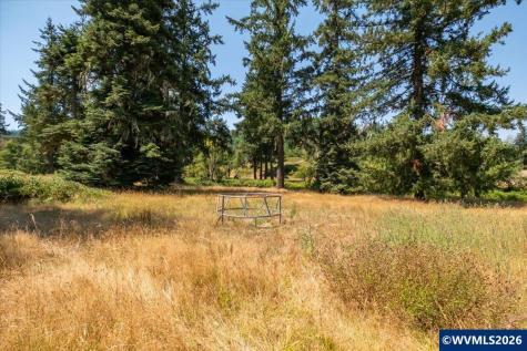 Tl #801 Upper Calapooia Drive Sweet Home OR 97386