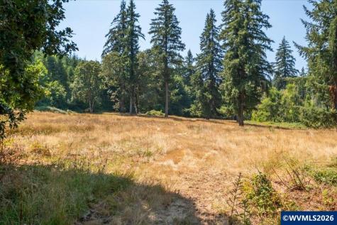 Tl #801 Upper Calapooia Drive Sweet Home OR 97386