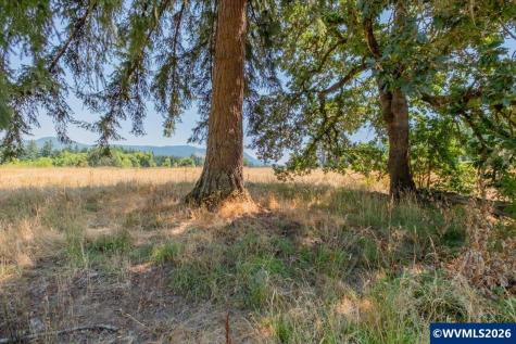 Tl #801 Upper Calapooia Drive Sweet Home OR 97386