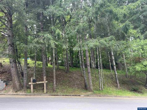 Lot 34 NW Elmwood Drive Corvallis OR 97330