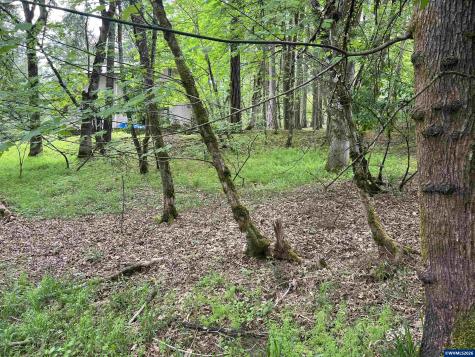 Lot 34 NW Elmwood Drive Corvallis OR 97330