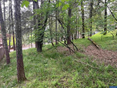 Lot 34 NW Elmwood Drive Corvallis OR 97330