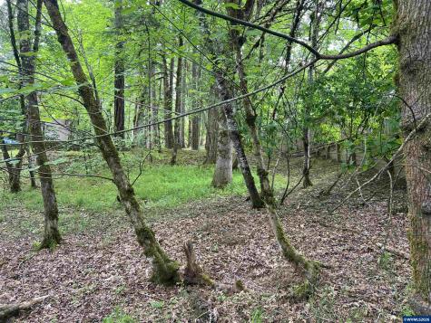 Lot 34 NW Elmwood Drive Corvallis OR 97330
