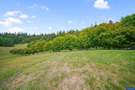 3154 Kwonesum Court S Salem OR 97306