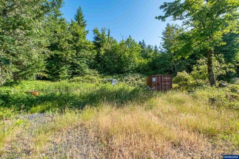 Tax Lot 1700 Jones Drive Foster OR 97345