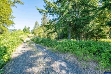 Tax Lot 1700 Jones Drive Foster OR 97345