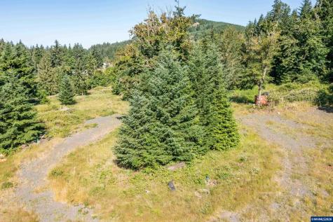 Tax Lot 1700 Jones Drive Foster OR 97345