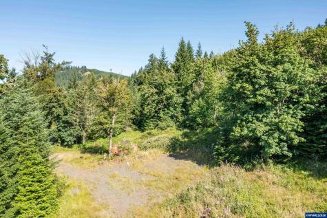 Tax Lot 1700 Jones Drive Foster OR 97345