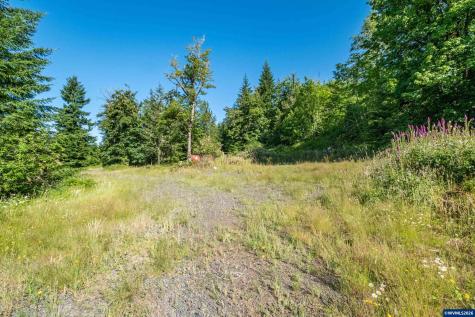 Tax Lot 1700 Jones Drive Foster OR 97345