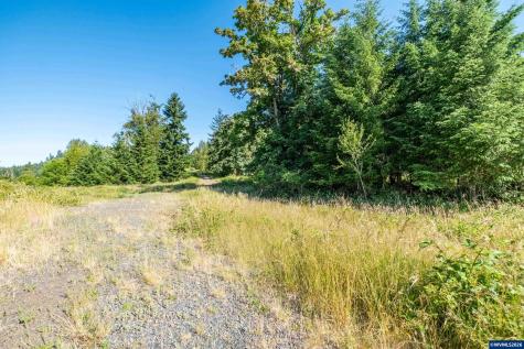 Tax Lot 1700 Jones Drive Foster OR 97345