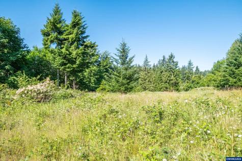 Tax Lot 1700 Jones Drive Foster OR 97345