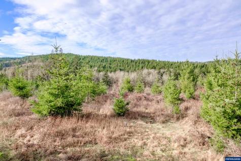 0 Airlie Road Monmouth OR 97361