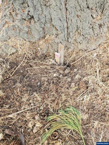 15TH (lot #5) Avenue SW Albany OR 97321