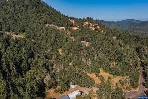 28920 Sheep Head (Next To) Road Brownsville OR 97327