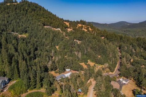 28920 Sheep Head (Next To) Road Brownsville OR 97327
