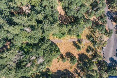 28920 Sheep Head (Next To) Road Brownsville OR 97327