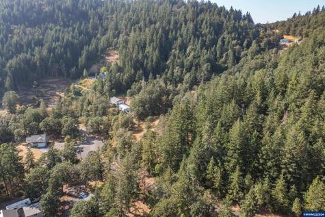28920 Sheep Head (Next To) Road Brownsville OR 97327