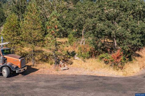 28920 Sheep Head (Next To) Road Brownsville OR 97327