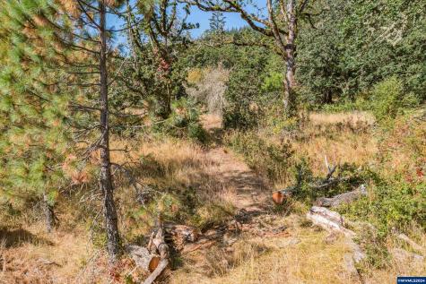 28920 Sheep Head (Next To) Road Brownsville OR 97327