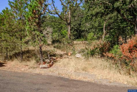 28920 Sheep Head (Next To) Road Brownsville OR 97327