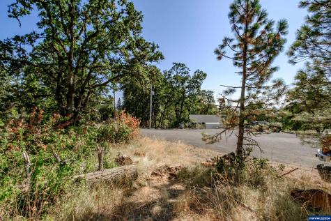 28920 Sheep Head (Next To) Road Brownsville OR 97327