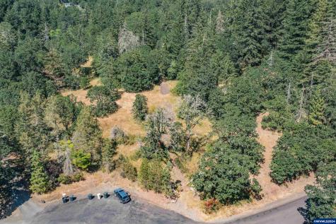 28920 Sheep Head (Next To) Road Brownsville OR 97327