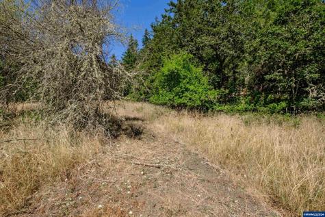 28920 Sheep Head (Next To) Road Brownsville OR 97327