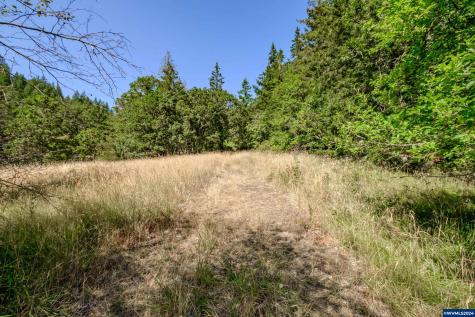 28920 Sheep Head (Next To) Road Brownsville OR 97327