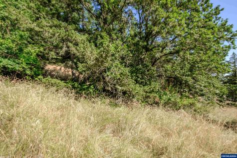 28920 Sheep Head (Next To) Road Brownsville OR 97327