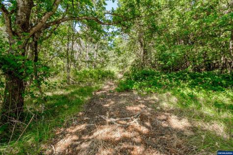 28920 Sheep Head (Next To) Road Brownsville OR 97327