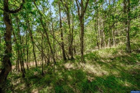 28920 Sheep Head (Next To) Road Brownsville OR 97327