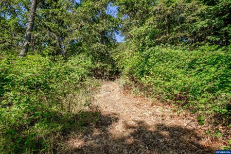 28920 Sheep Head (Next To) Road Brownsville OR 97327