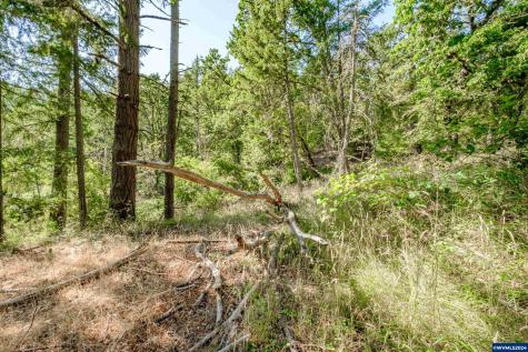 28920 Sheep Head (Next To) Road Brownsville OR 97327