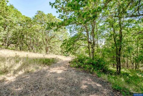 28920 Sheep Head (Next To) Road Brownsville OR 97327