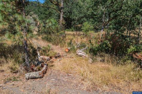 28920 Sheep Head (Next To) Road Brownsville OR 97327